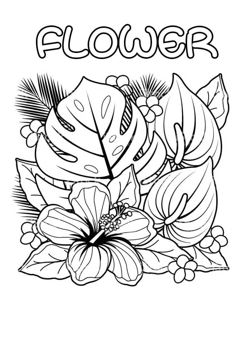 Good Flower Color by Number