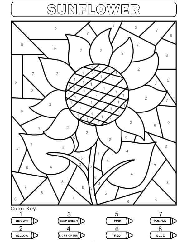 Sunflower Color By Number