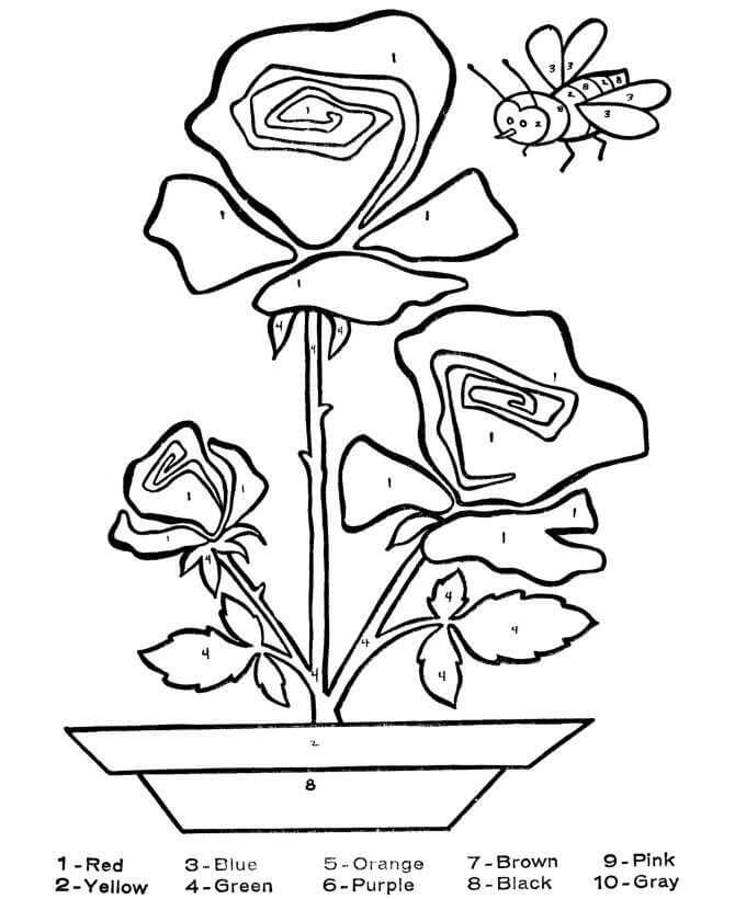 Vase of Flowers with Butterfly Color By Number