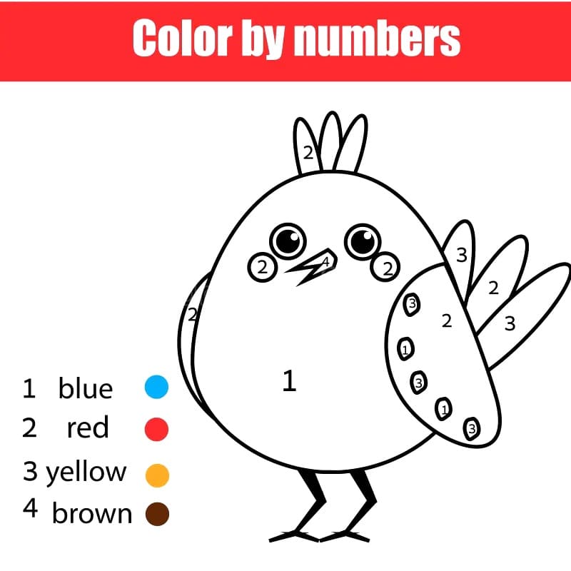 Adorable Bird Color By number