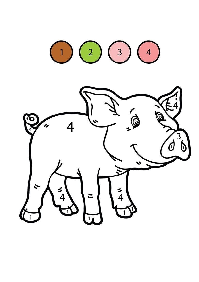 Cartoon Pig Color By Number