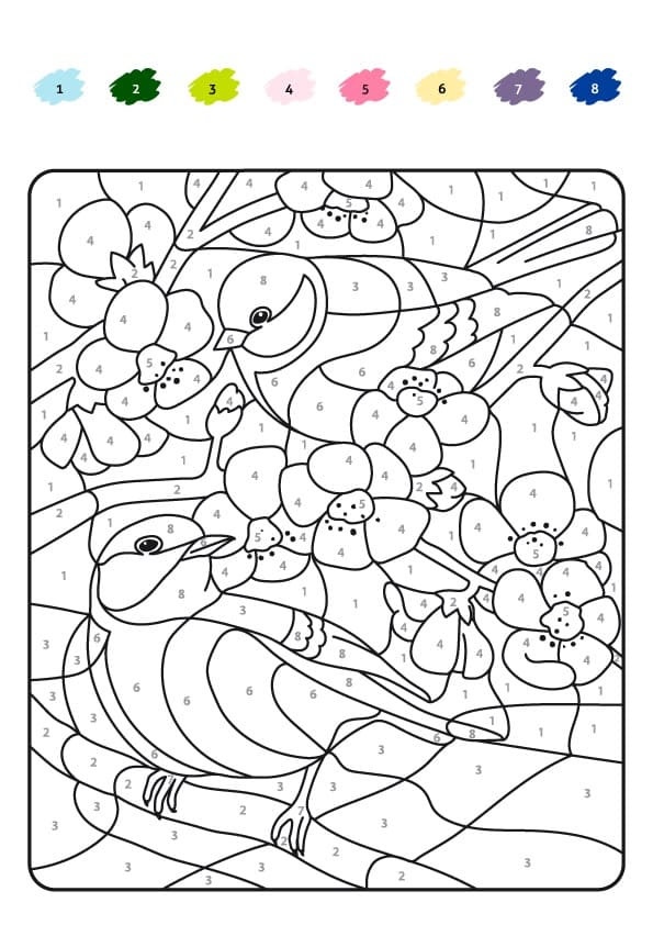 Cute Birds Color By number
