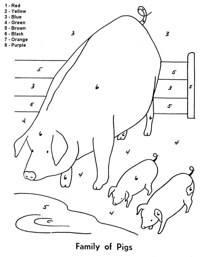 Family Pig Color By Number Color By Number