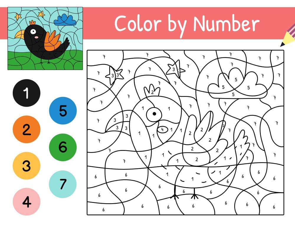 Fun Bird Color By number