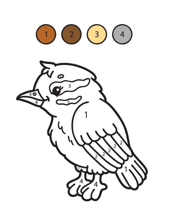 Happy Bird Color By number