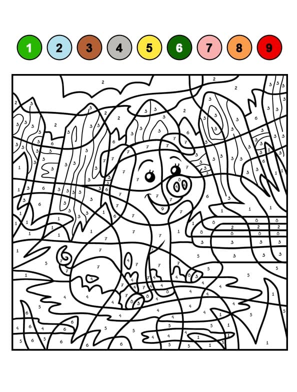 Little Pig Color By Number Color By Number