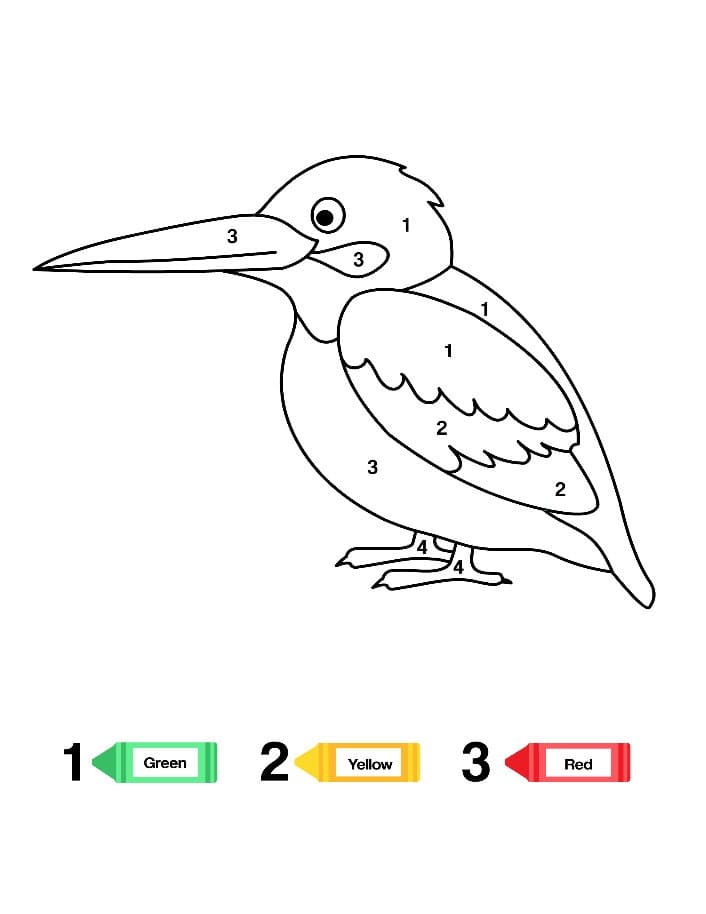 The Bird Color By number