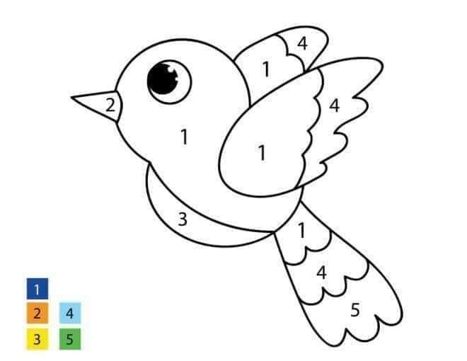 A Simple Bird Color by Number