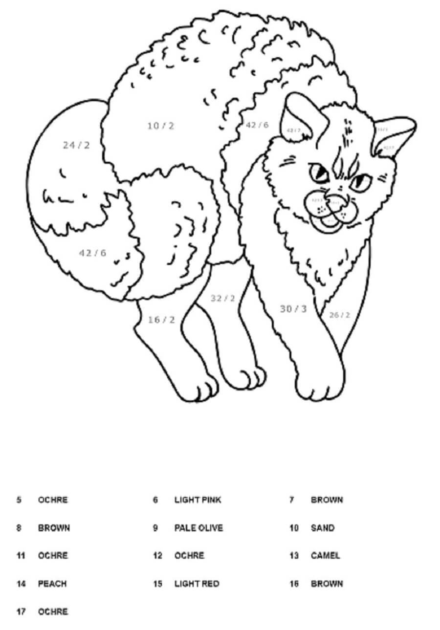 Angry cat color by number