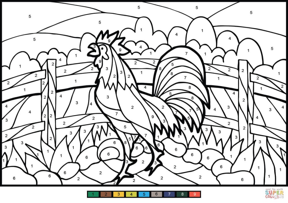 Beautiful chicken color by number