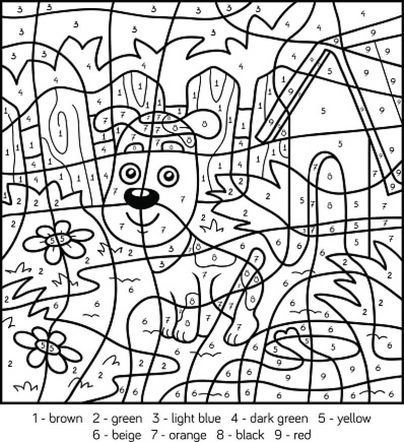 Big-headed dog color by number