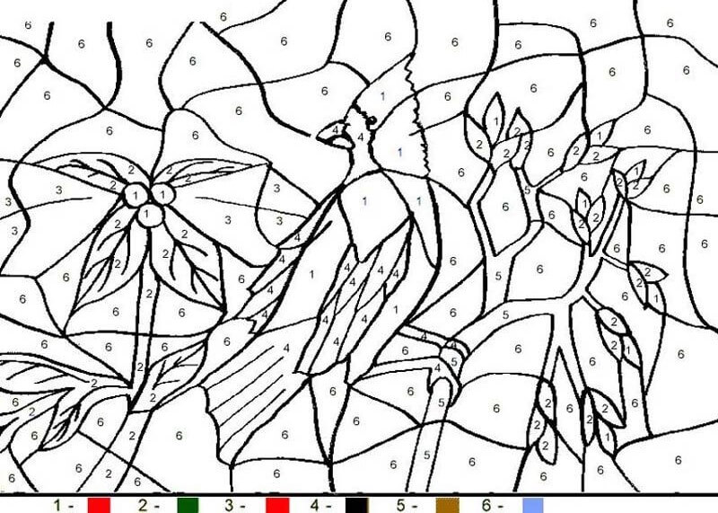 Bird and tree branch color by number