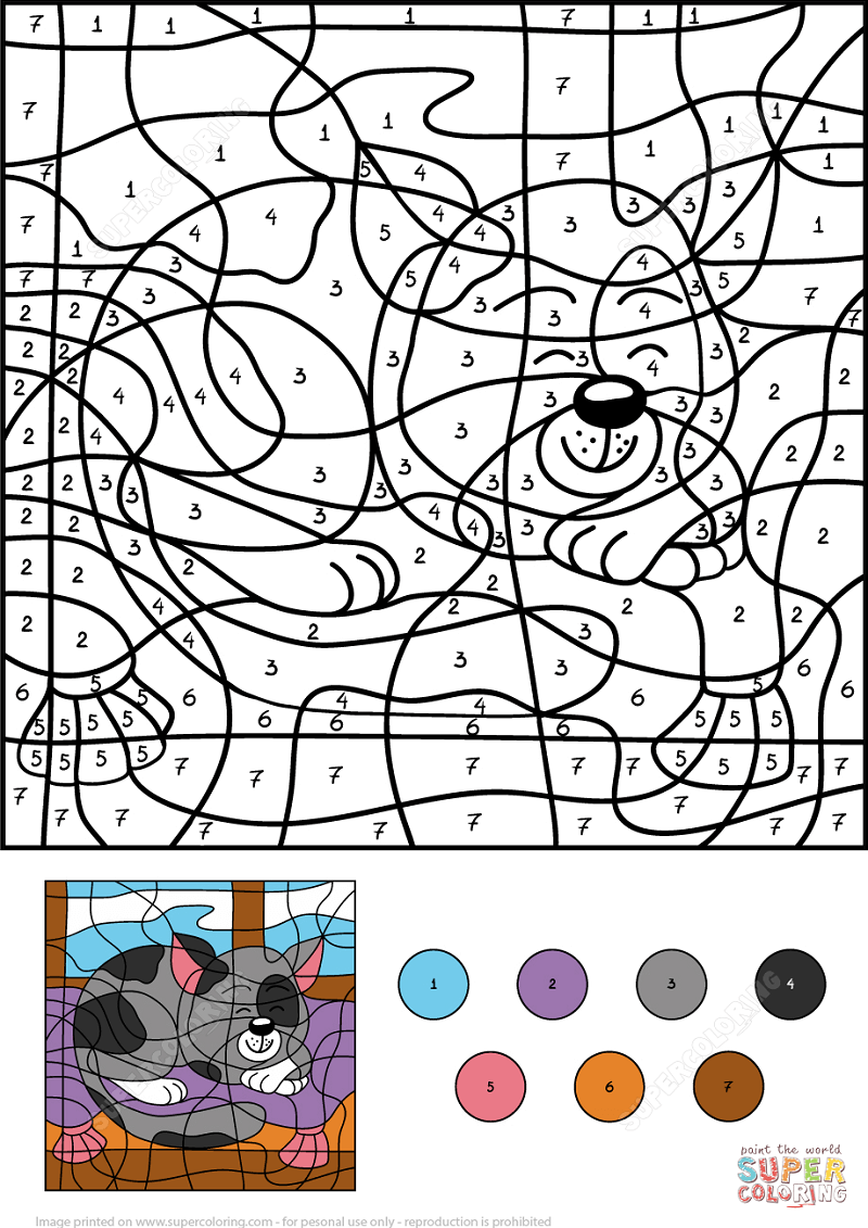 Black cat sleeping color by number