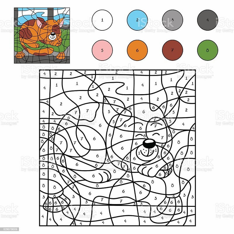 Brown cat color by number