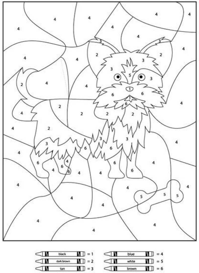 Bushy dog color by number