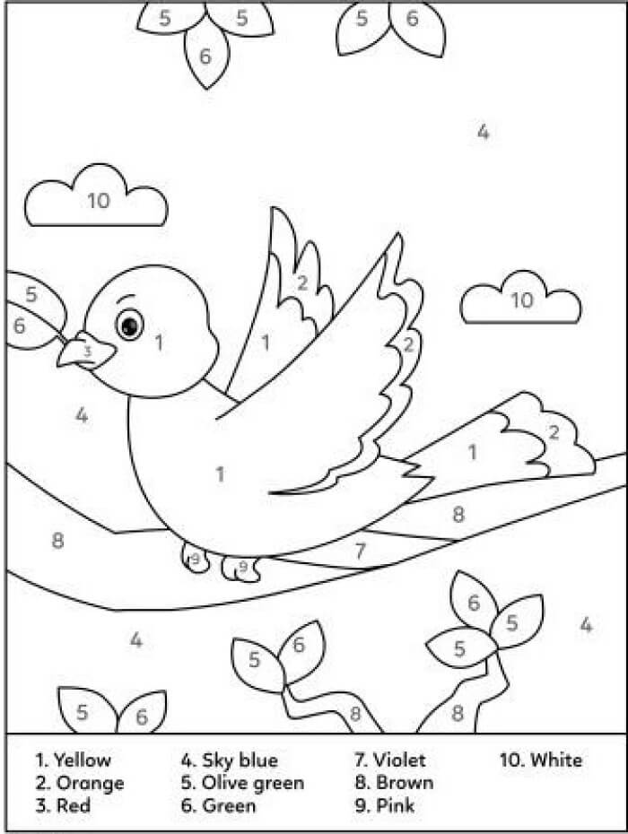 Cute bird color by number