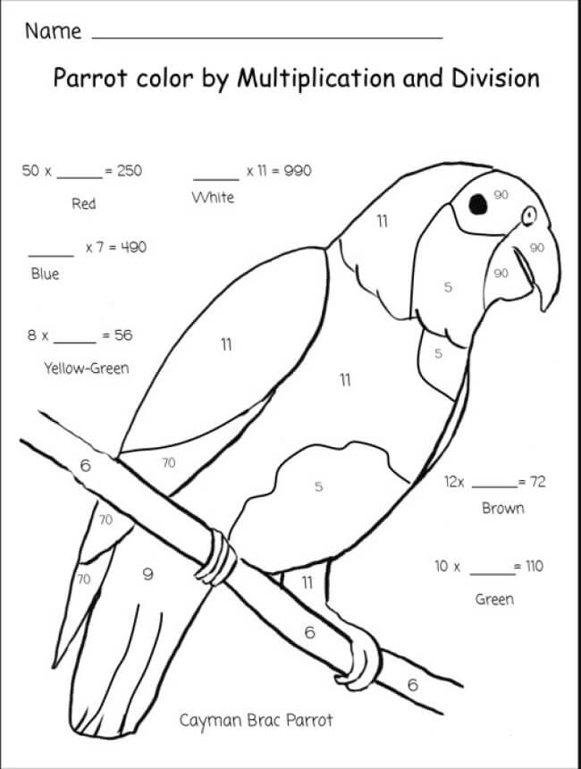 Cute parrot color by number