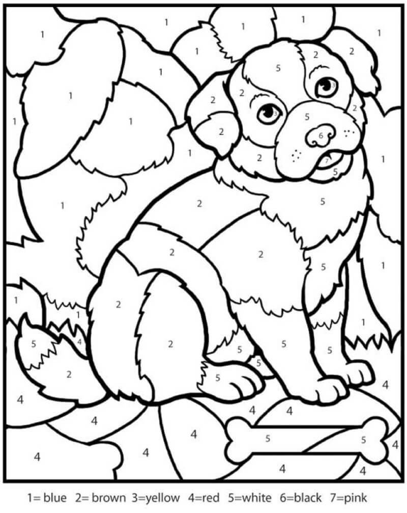 Dog and bone color by number