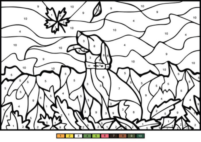 Dog and maple leaf color by number