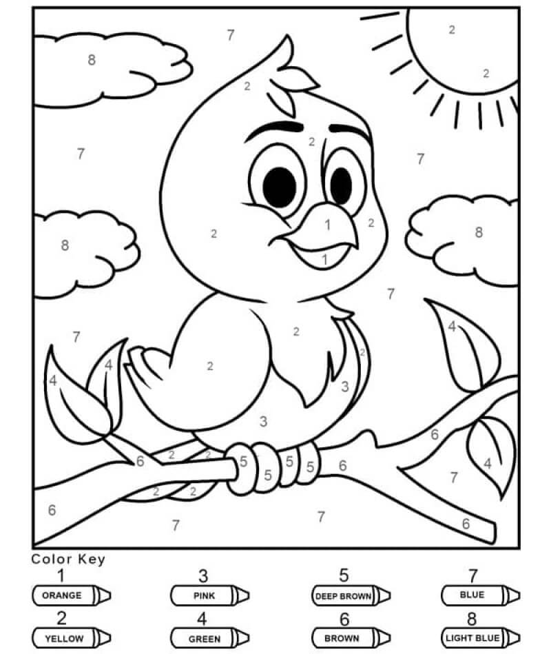 Little bird color by number