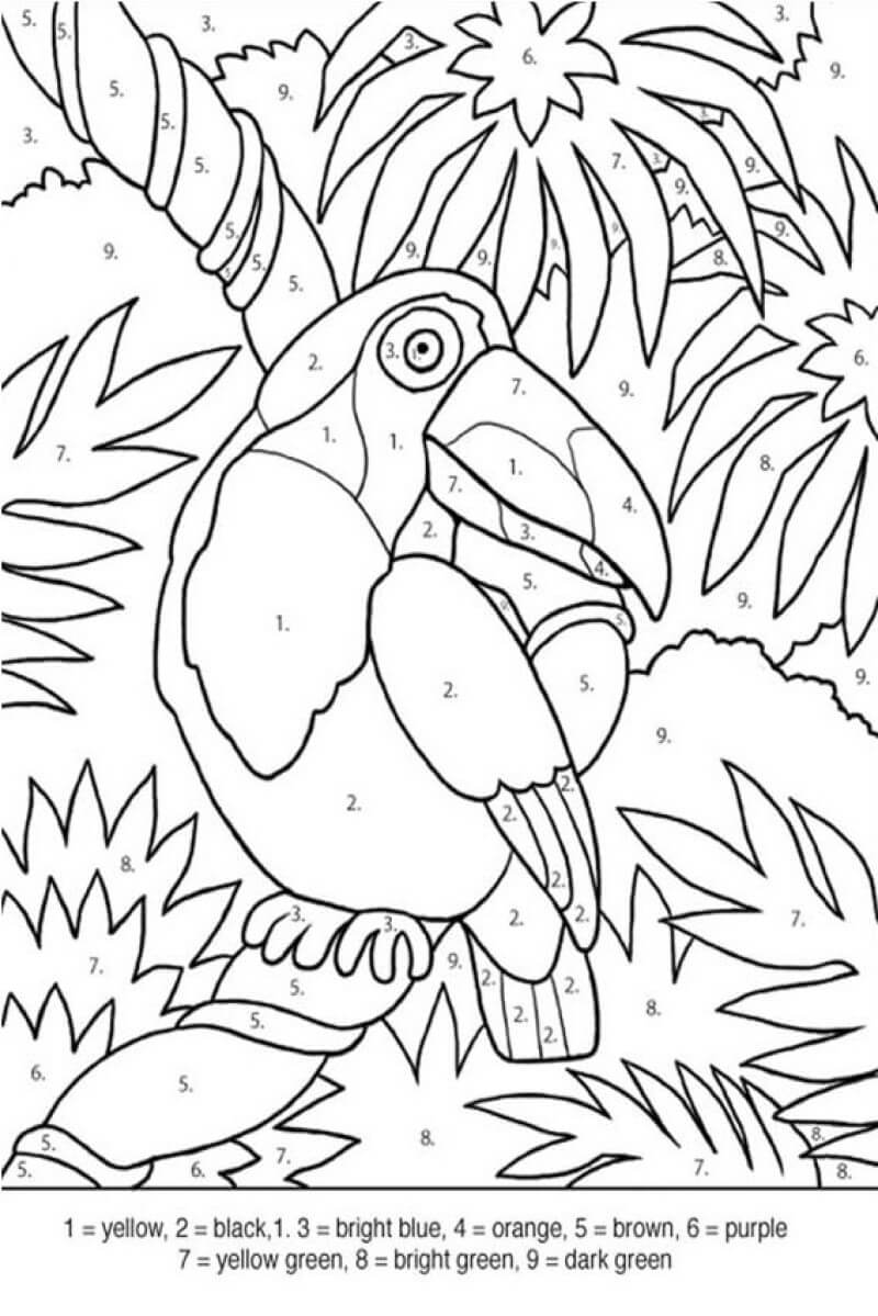 Long-beaked parrot color by number
