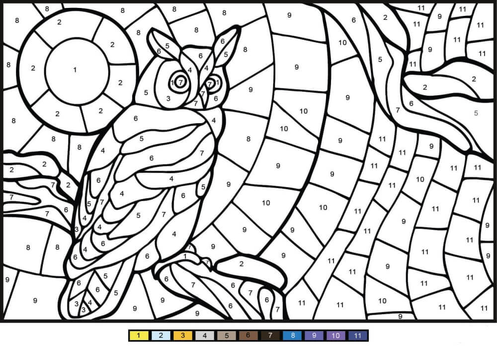 Owl color by number