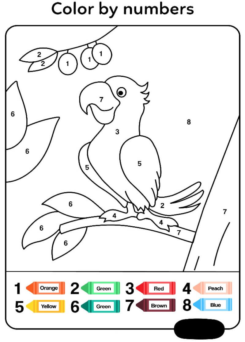 Bird Color By Number