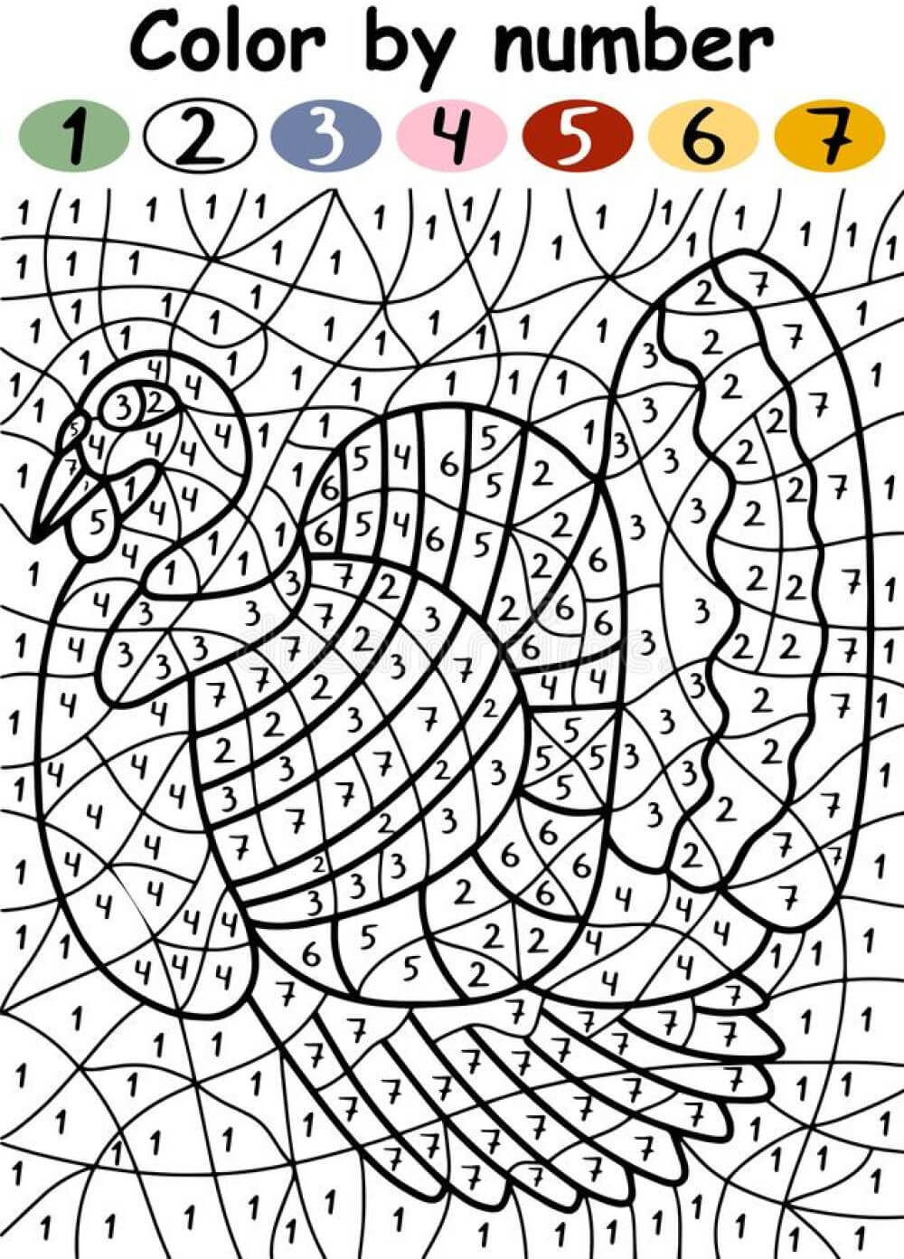 Peacock color by number