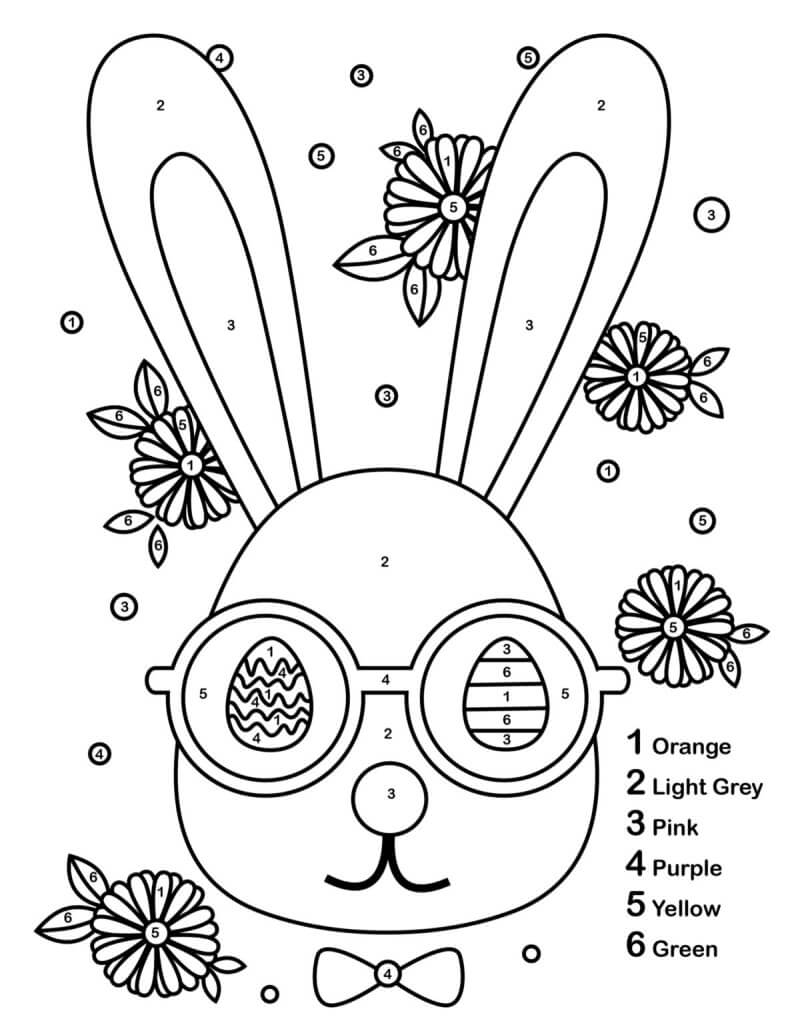 Rabbit Color By Number