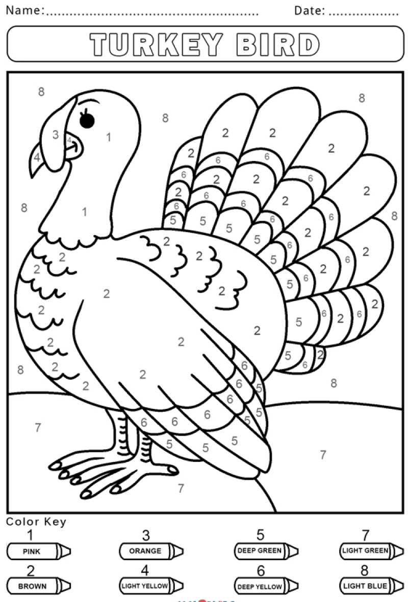 Turkey bird color by number