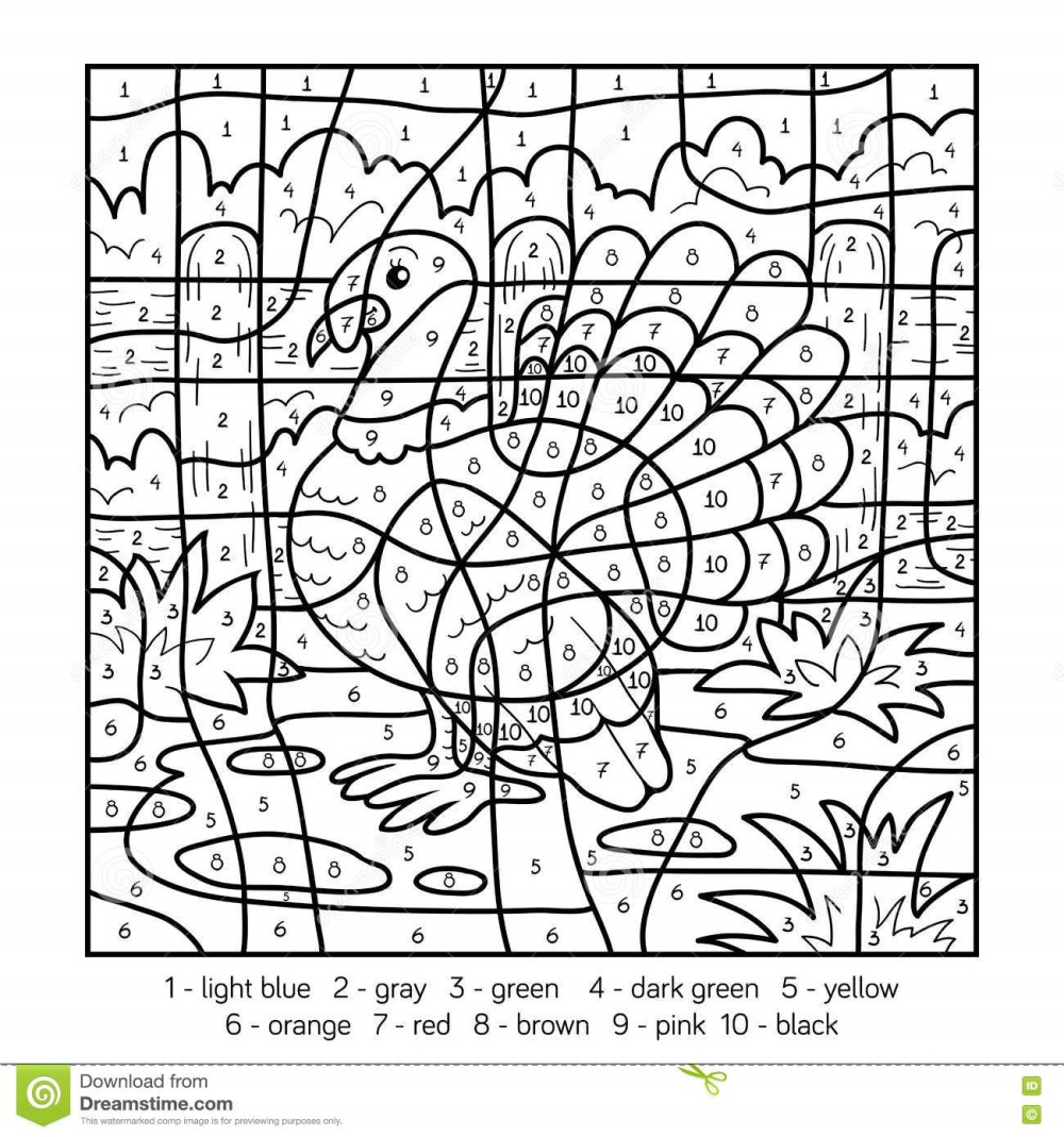 Turkey color by number Color By Number