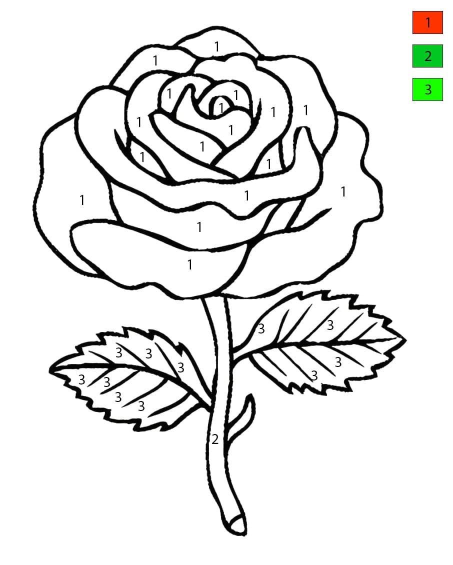 A Beautiful Rose Flower Color By Number