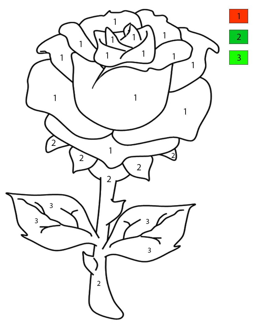 Easy Rose Branch Color By Number