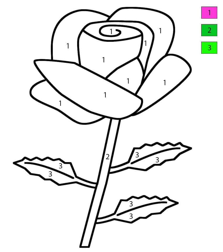 Easy Rose Color By Number