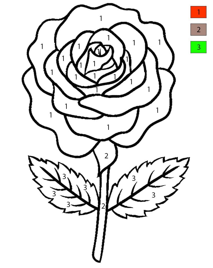Free Rose Flower Color By Number