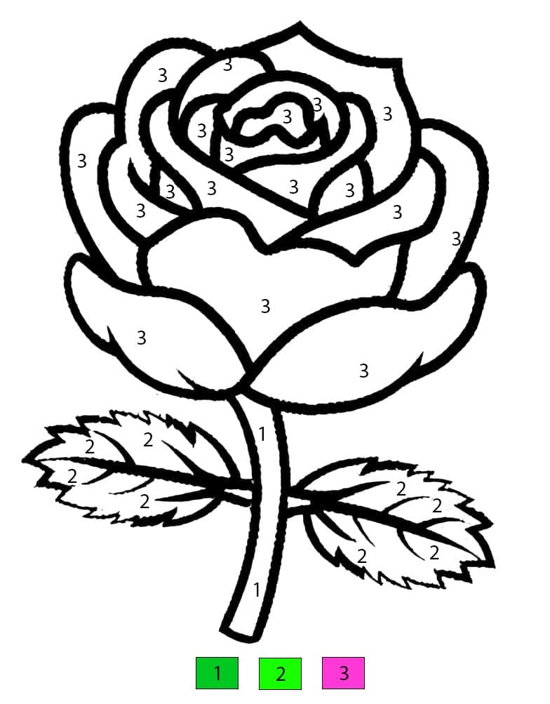 Nice Rose Flower Color By Number
