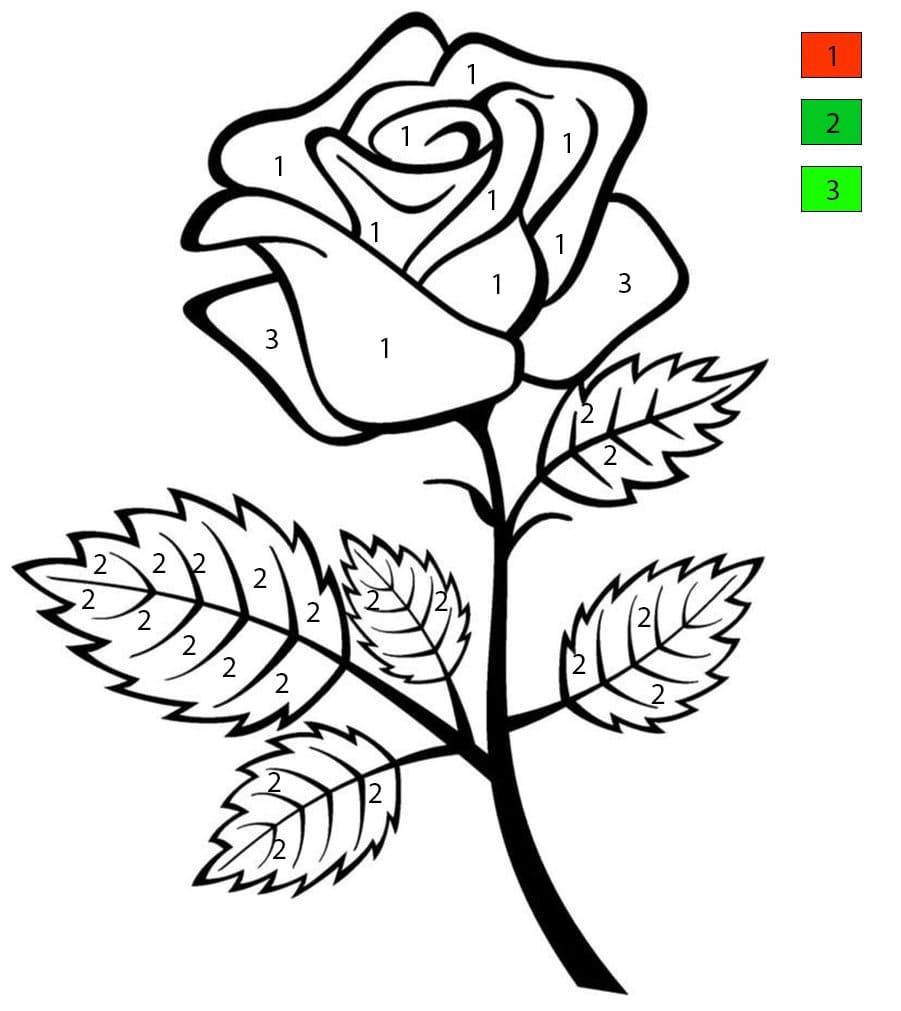 Normal Rose Color By Number