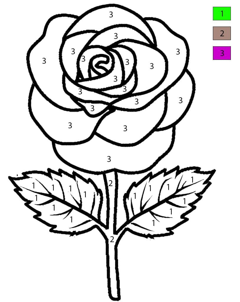 Normal Rose Flower Color By Number