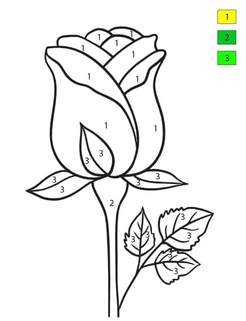 Printable Beautiful Rose Color By Number
