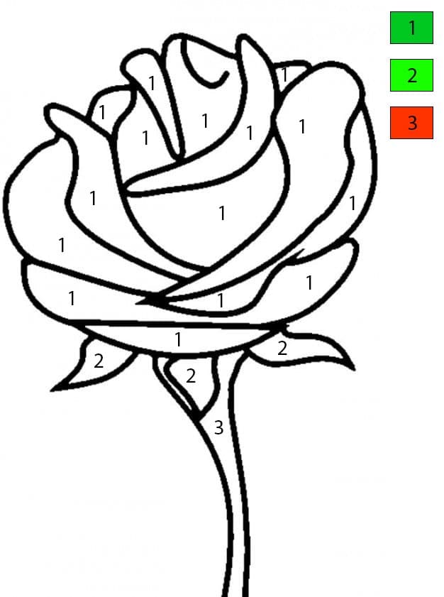 Rose Flower Image Color By Number