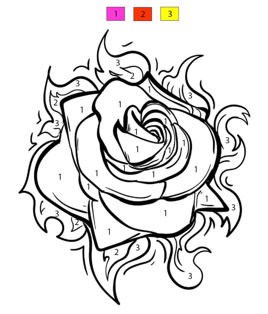Rose with Flame Color By Number