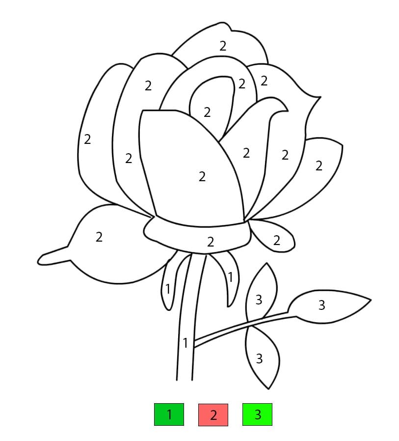 Simple Rose Flower Color By Number