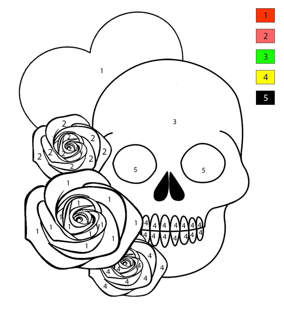 Skull with Heart and Roses Color By Number