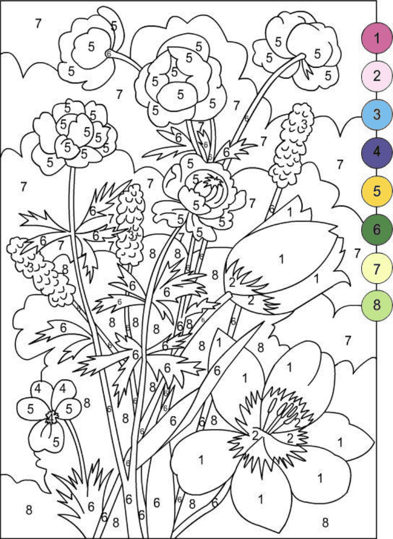 Wild Flower Color by Number