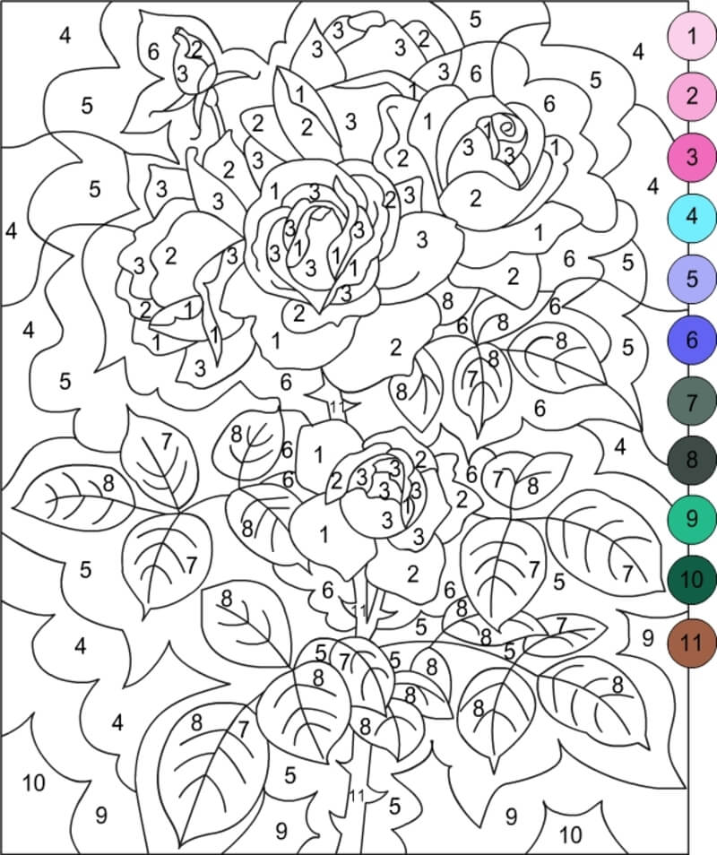 A rose garden color by number