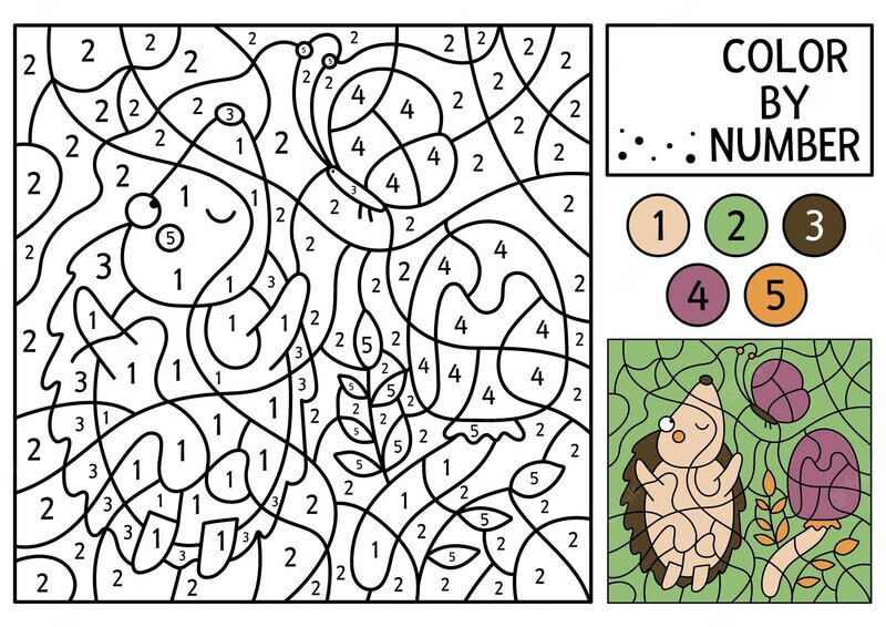Autumn hedgehog color by number Color By Number