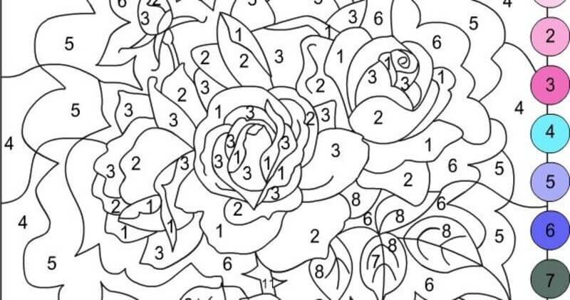 Beautiful roses color by number