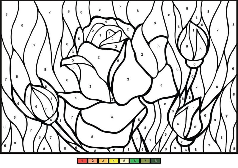 Beauty Rose color by number