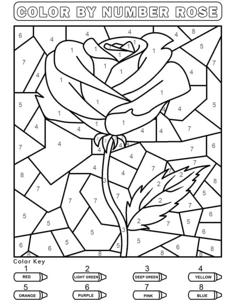 Easy Rose color by number
