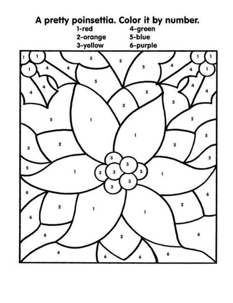 Flower on christmas day color by number